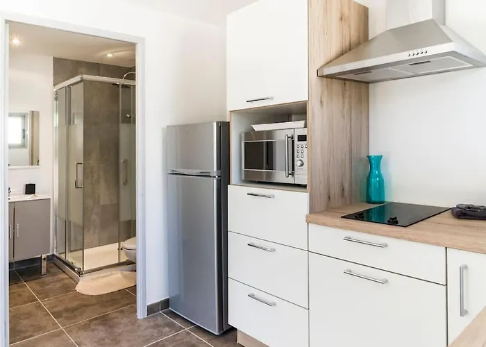 Appartement En Pierre U Pinu, 2 Personnes, Muratello, 6 Kms De Vecchio *